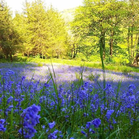 Lobhill Farmhouse Bed And Breakfast And Self Catering Accommodation Okehampton Exteriér fotografie