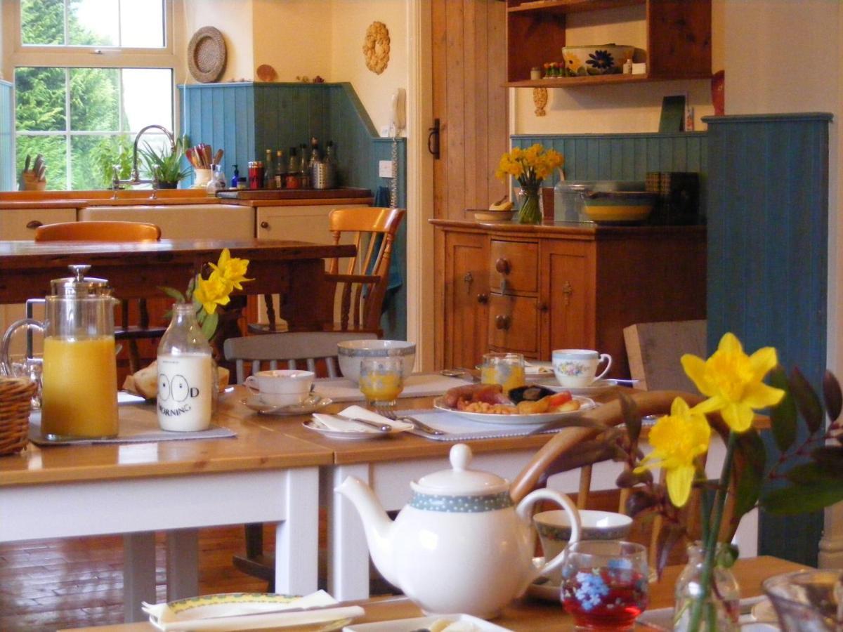 Lobhill Farmhouse Bed And Breakfast And Self Catering Accommodation Okehampton Exteriér fotografie