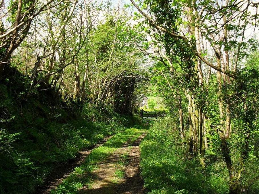 Lobhill Farmhouse Bed And Breakfast And Self Catering Accommodation Okehampton Pokoj fotografie